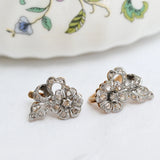 Art nouveau floral earrings