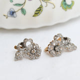Art nouveau floral earrings